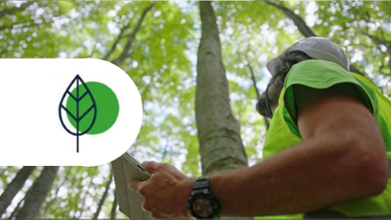 icon climate 29.png