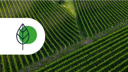 icon climate 13.png