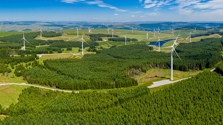 Wind_energy_climate_277053044-web-1500px.jpg