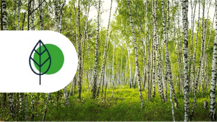 icon climate 15.png